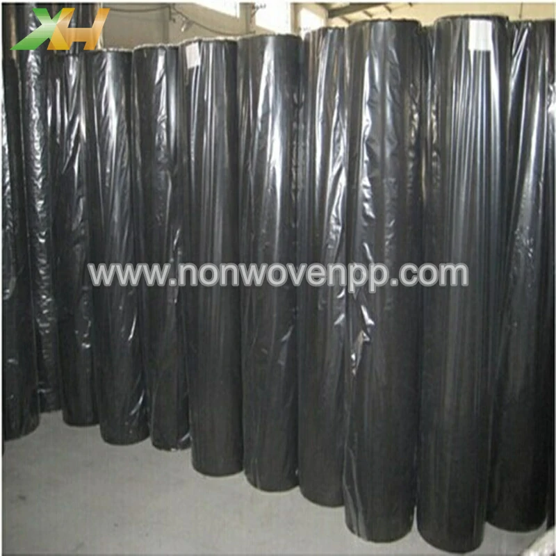 70 gsm non woven fabric
